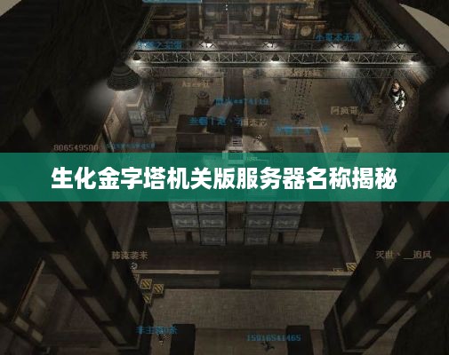 生化金字塔机关版服务器名称揭秘