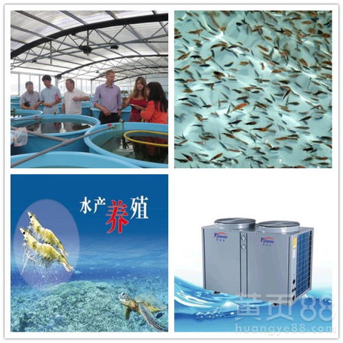 水产耐磨油漆品牌大盘点，耐用防腐，守护海洋养殖设施
