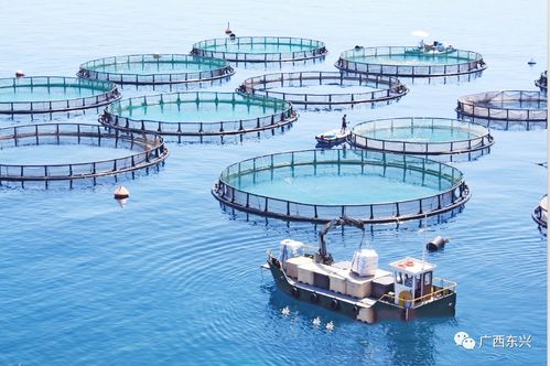 水产耐磨油漆品牌大盘点，耐用防腐，守护海洋养殖设施