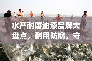 水产耐磨油漆品牌大盘点，耐用防腐，守护海洋养殖设施
