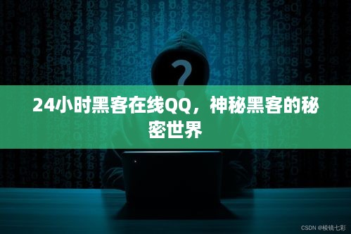 24小时黑客在线QQ，神秘黑客的秘密世界