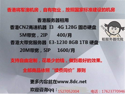 香港服务器租赁公司概览