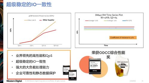 西部云服务器租赁—您的数据存储新选择