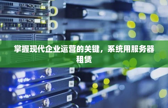 掌握现代企业运营的关键，系统用服务器租赁
