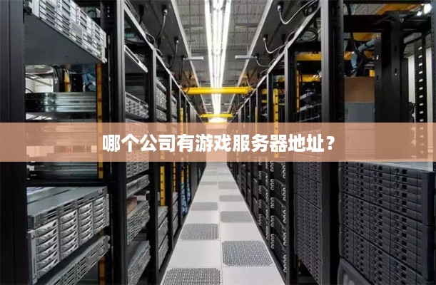 哪个公司有游戏服务器地址？