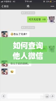 如何查询他人微信聊天记录