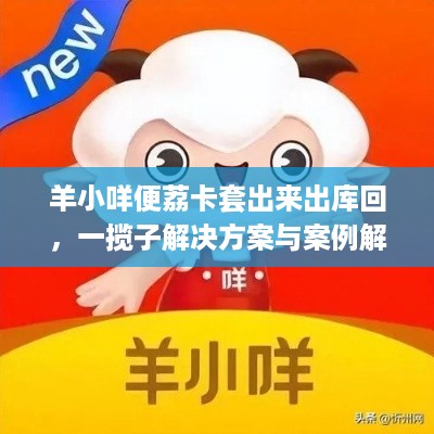羊小咩便荔卡套出来出库回，一揽子解决方案与案例解析