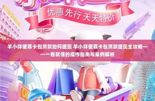 羊小咩便荔卡套出来出库回，一揽子解决方案与案例解析