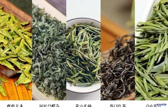浙江茶叶品牌，品味千年历史，传承绿色经典