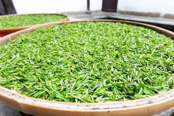 浙江茶叶品牌，品味千年历史，传承绿色经典