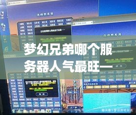 梦幻兄弟哪个服务器人气最旺—案例分析与玩家口述