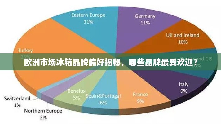 欧洲市场冰箱品牌偏好揭秘，哪些品牌最受欢迎？