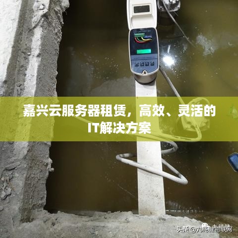 嘉兴云服务器租赁，高效、灵活的IT解决方案