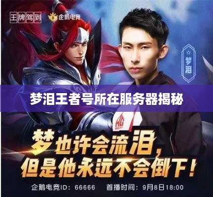 梦泪王者号所在服务器揭秘