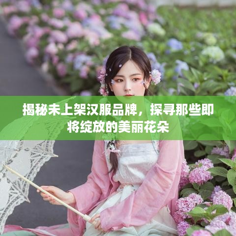 揭秘未上架汉服品牌，探寻那些即将绽放的美丽花朵