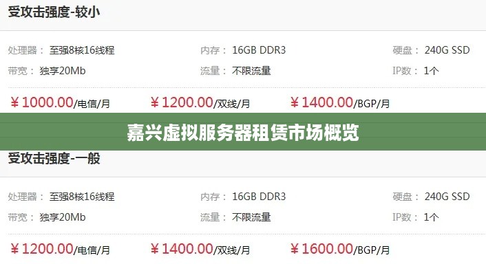嘉兴虚拟服务器租赁市场概览