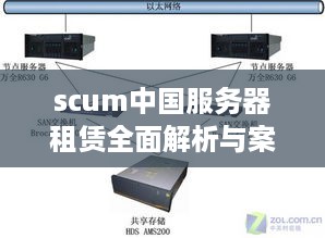 scum中国服务器租赁全面解析与案例解读