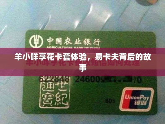 羊小咩享花卡套体验，易卡夫背后的故事