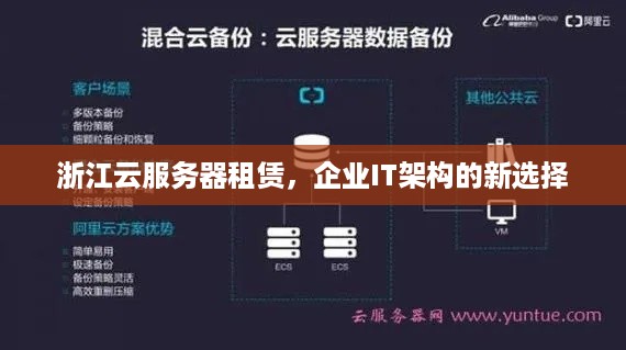 浙江云服务器租赁，企业IT架构的新选择