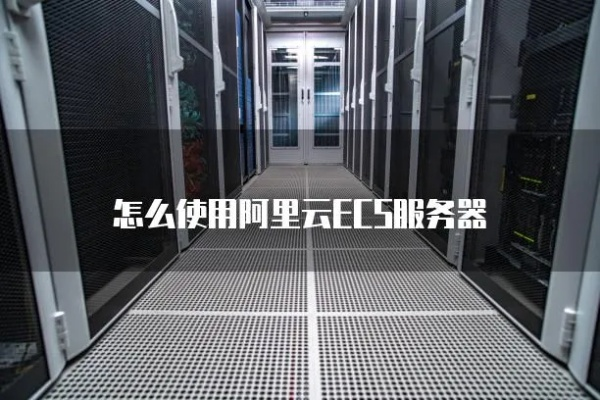 埃布尔所属服务器介绍