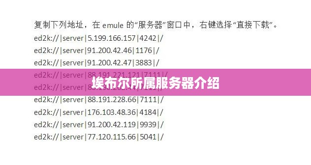 埃布尔所属服务器介绍
