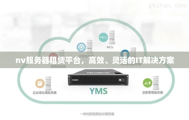 nv服务器租赁平台，高效、灵活的IT解决方案