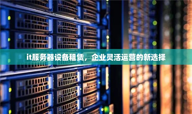 it服务器设备租赁，企业灵活运营的新选择
