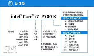 学校采购电脑品牌方案，性价比与性能并重的选择指南