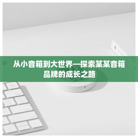 从小音箱到大世界—探索某某音箱品牌的成长之路