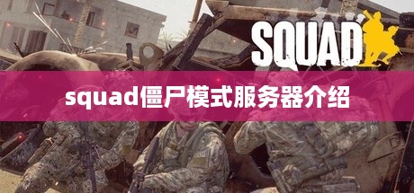 squad僵尸模式服务器介绍