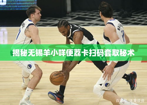 揭秘无锡羊小咩便荔卡扫码套取秘术