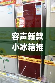 容声新款小冰箱推荐，小巧空间，大容量生活必备！