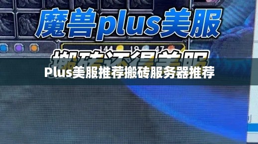 Plus美服推荐搬砖服务器推荐