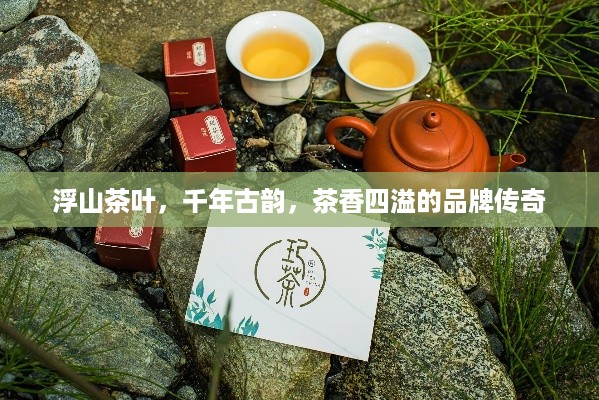 浮山茶叶，千年古韵，茶香四溢的品牌传奇