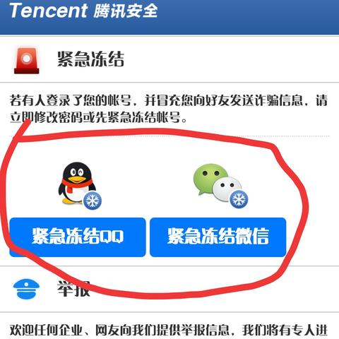 揭秘QQ聊天记录查看软件，安全与隐私的双重考量