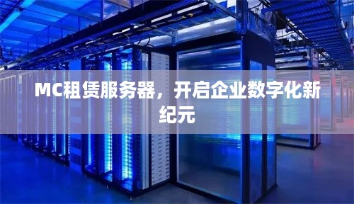 MC租赁服务器，开启企业数字化新纪元