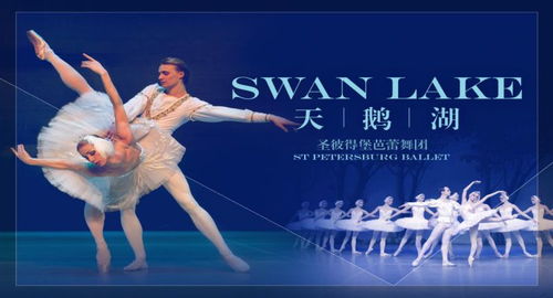 舞蹈生专属奢侈品牌指南，优雅舞动，品味非凡