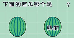 白条取现最简单方法