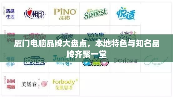 厦门电脑品牌大盘点，本地特色与知名品牌齐聚一堂