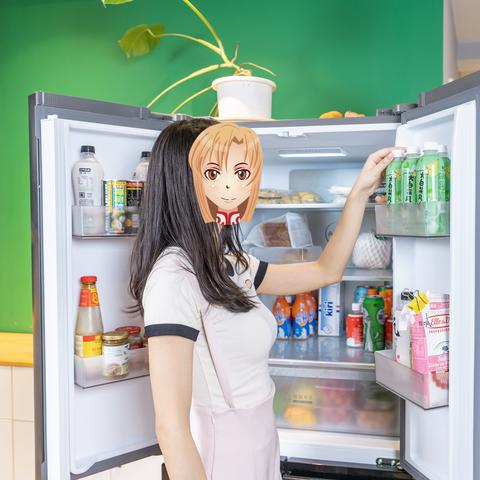 揭秘小冰箱品牌直营店，购物体验与性价比的双重保障