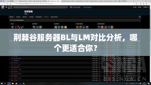 荆棘谷服务器BL与LM对比分析，哪个更适合你？