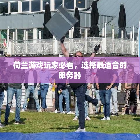 荷兰游戏玩家必看，选择最适合的服务器