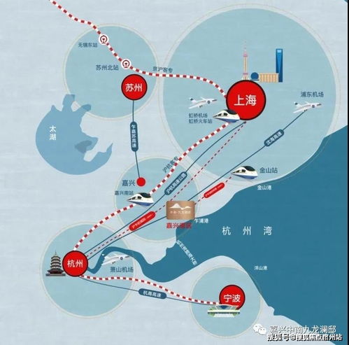 服务器租赁价格波动分析