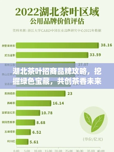 湖北茶叶招商品牌攻略，挖掘绿色宝藏，共创茶香未来