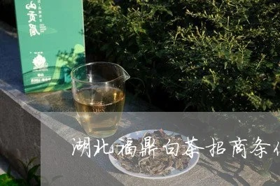 湖北茶叶招商品牌攻略，挖掘绿色宝藏，共创茶香未来