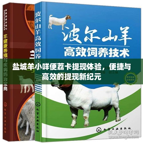 盐城羊小咩便荔卡提现体验，便捷与高效的提现新纪元