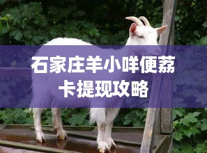 石家庄羊小咩便荔卡提现攻略