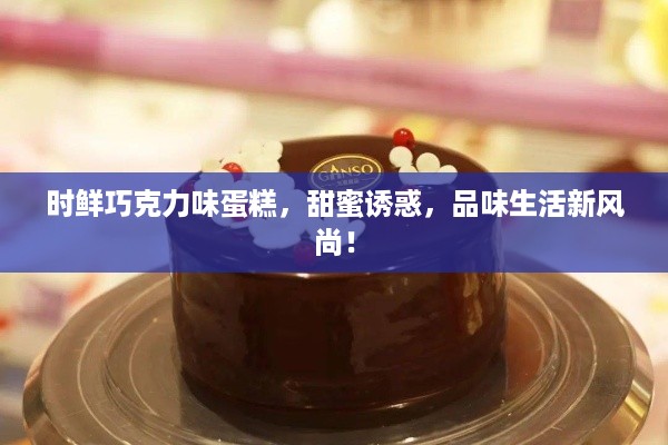 时鲜巧克力味蛋糕，甜蜜诱惑，品味生活新风尚！