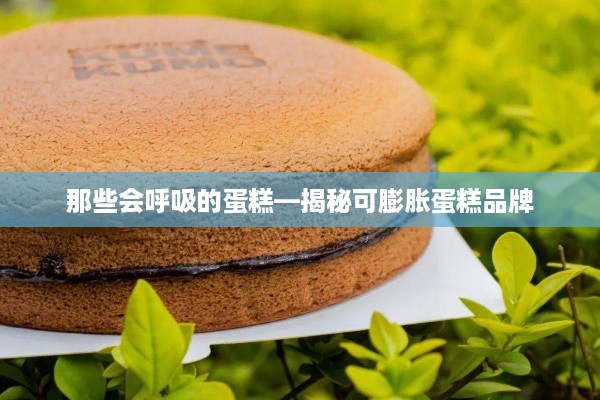 那些会呼吸的蛋糕—揭秘可膨胀蛋糕品牌