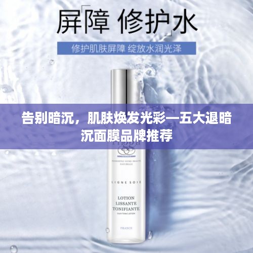 告别暗沉，肌肤焕发光彩—五大退暗沉面膜品牌推荐
